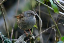 DSC_4847.jpg DSC_4847.jpg