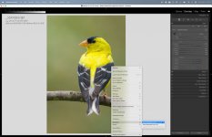 Screenshot-2025-08-18-at-10.16.49 AM.jpg Screenshot-2025-08-18-at-10.16.49 AM.jpg