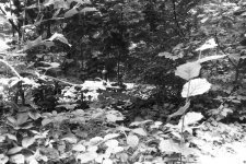 Blowing Hot Air.jpg Blowing Hot Air.jpg