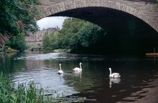 1206PMESA15_Adj Warwick bridge.jpg