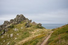 20250729-L1001675.jpeg 20250729-L1001675.jpeg