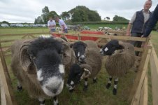 _7815230.jpg _7815230.jpg