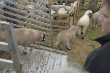 _7815237.jpg _7815237.jpg