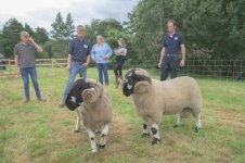 _7815268.jpg _7815268.jpg