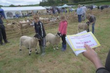 _7815281.jpg _7815281.jpg