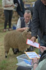 _7811026.jpg _7811026.jpg