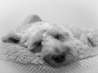 2025-08-20 09.59.27-2.jpg