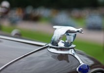 L1002732_DxO-L50c-c.jpg L1002732_DxO-L50c-c.jpg