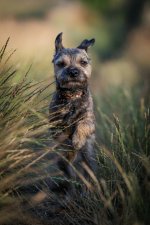 IMG_9390-1-1.jpg IMG_9390-1-1.jpg