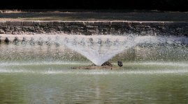 17 08 25 12.jpgRS.jpg