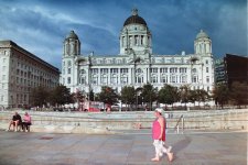 Barney's picture.jpg