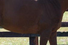 test1 (1 of 1).jpg test1 (1 of 1).jpg