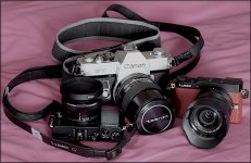 Panasonic GM5s with Canon FT-QL TZ70 P1030694.JPG