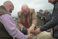 _7811326.jpg _7811326.jpg