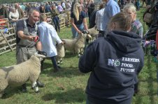 _7811451.jpg _7811451.jpg