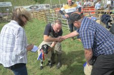 _7811483.jpg _7811483.jpg