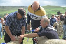 _7811494.jpg _7811494.jpg