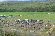 _7811535.jpg _7811535.jpg