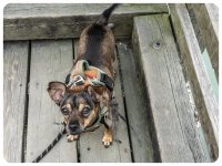 aug 14-25 (1 of 1)-2.JPG