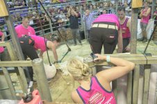 _7811666.jpg _7811666.jpg