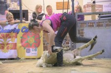 _7811813.jpg _7811813.jpg