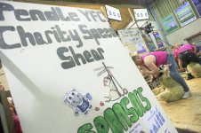 _7815335.jpg _7815335.jpg