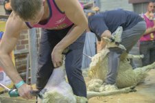 _7811769.jpg _7811769.jpg