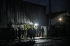 _7811789.jpg _7811789.jpg