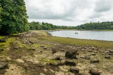 003 Longstone Manor 03-1002199 PS Adj Upload.jpg 003 Longstone Manor 03-1002199 PS Adj Upload.jpg