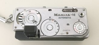 IMG_1009.jpeg IMG_1009.jpeg