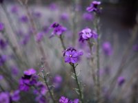 Blackburn Photo Walk 1-5.jpg