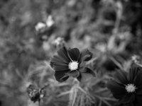 Blackburn Photo Walk 1-2.jpg