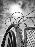 Week 35 - Snappers 3.JPG