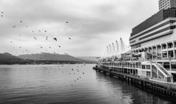 Week 35 - Snappers 5.JPG