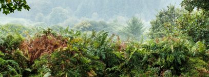 003 Deancombe Farm Ruins (Sheltering) 02-3385 PS Adj Upload.jpg 003 Deancombe Farm Ruins (Sheltering) 02-3385 PS Adj Upload.jpg