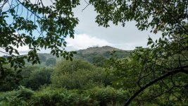 011 Down Tor from Bridleway to Sheeps Tor 01-3403 PS Adj Upload.jpg 011 Down Tor from Bridleway to Sheeps Tor 01-3403 PS Adj Upload.jpg