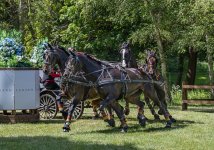 Week 35 - snappers' choice.jpg