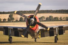 Week 33 - movement.jpg