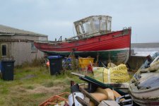 She is still proud.jpg