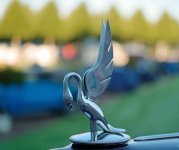 L1034775_DxO-L50c-c.jpg L1034775_DxO-L50c-c.jpg