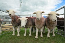 _7815378.jpg _7815378.jpg