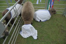 _7812253.jpg _7812253.jpg