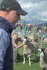 _7812222.jpg _7812222.jpg