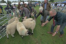 _7815370.jpg _7815370.jpg