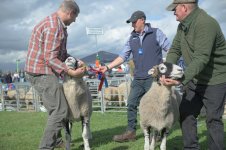 _7812225.jpg _7812225.jpg