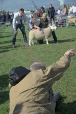 _7812181.jpg _7812181.jpg