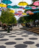 Aug 30-25 (1 of 1)-4.JPG