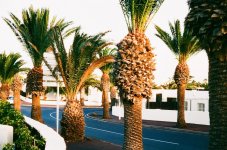 001801820013.jpg 001801820013.jpg