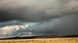 001 Stormy Weather 01-9902 PS Adj Upload.jpg 001 Stormy Weather 01-9902 PS Adj Upload.jpg