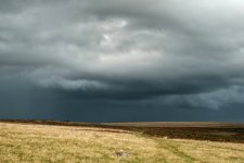 024 Stormy Weather 03-9950 PS Adj Upload.jpg 024 Stormy Weather 03-9950 PS Adj Upload.jpg